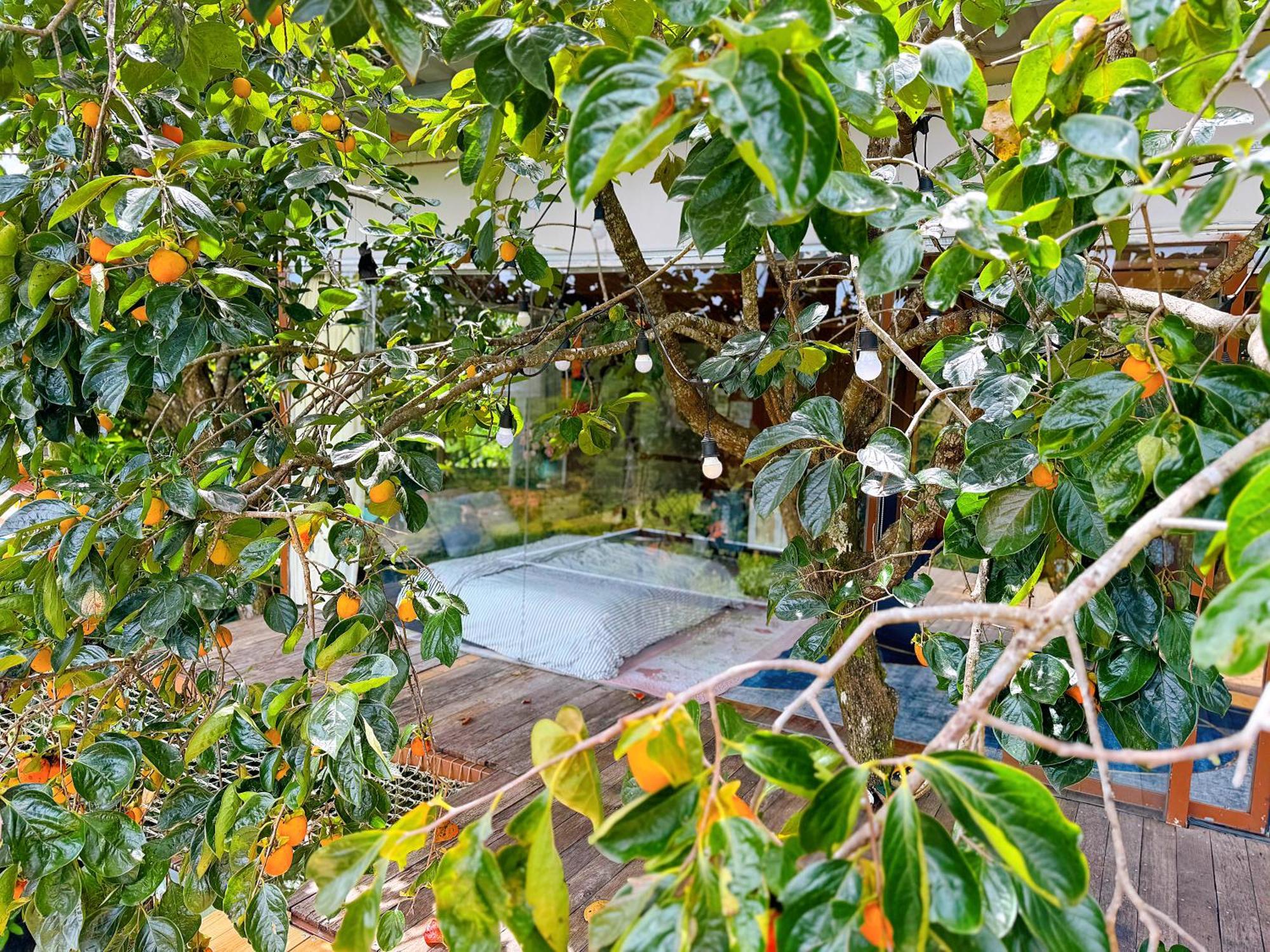 An Yen Villa Đà Lạt Exterior foto